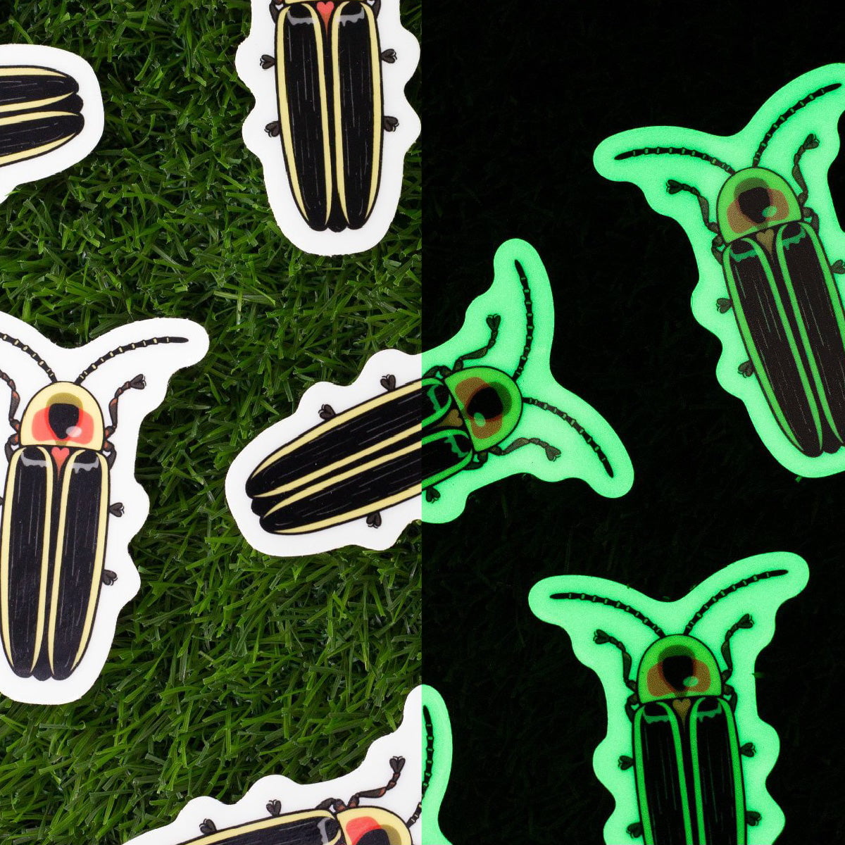 Glow in the Dark Stickers of beetles on a grassy and black background shown in daylight and at night