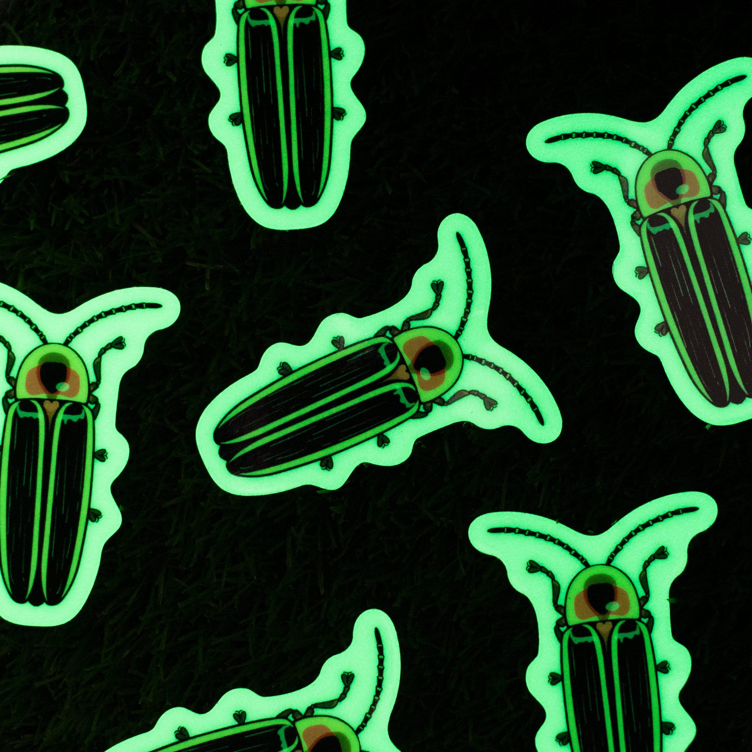 Glow in the dark sticker of an insect beetle green photoluminescent phosphorescent
