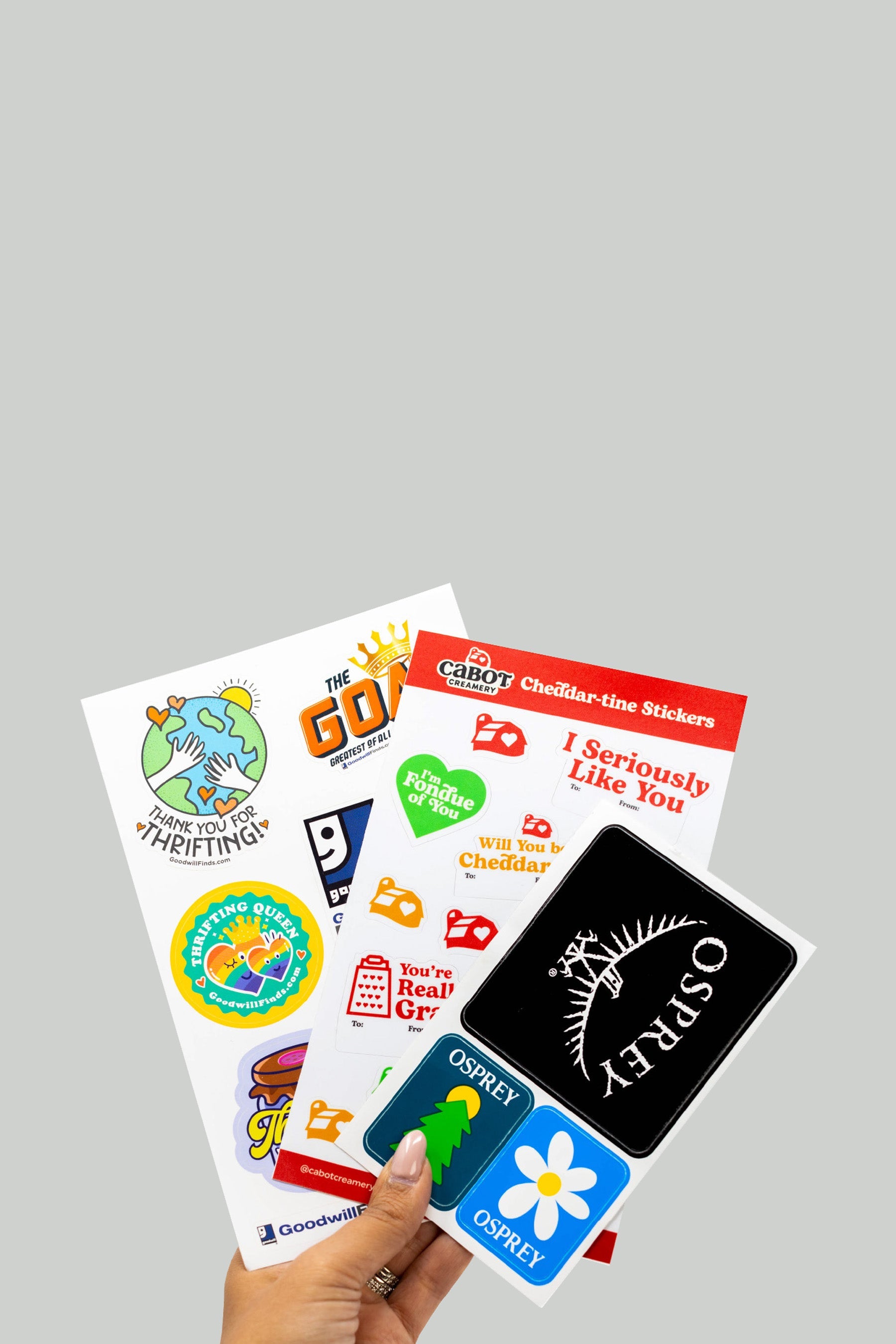 Hand holding custom printed sticker sheets with multi color artwork for goodwill cabot creamery and osprey brand on gray background contains text 