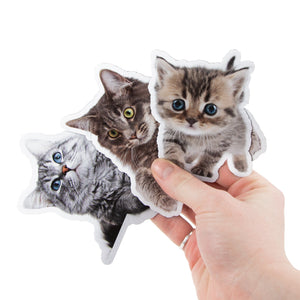 View detail for Pet Cat Stickers product